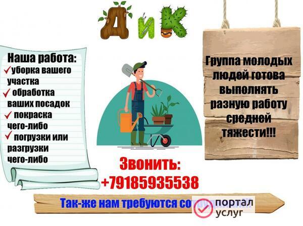 Фото Помощь по участку