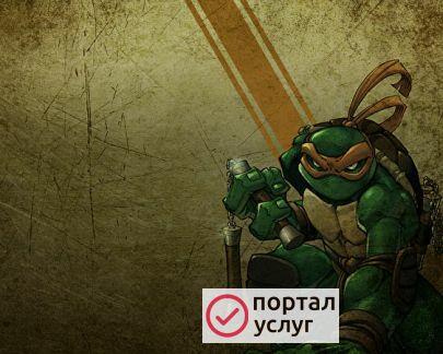 Фото Боевая акробатика
