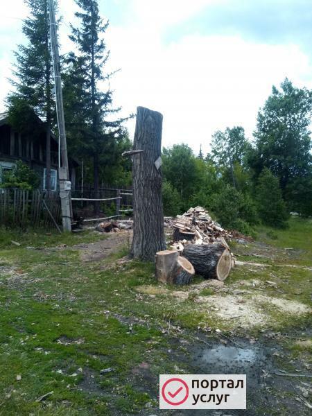 Фото Дрова