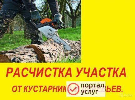 Фото Удаление деревьев