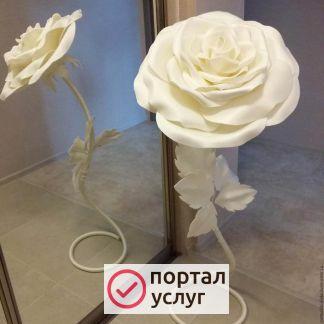 Фото Ростовые цветы