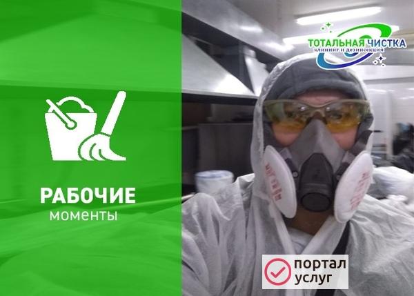 Фото Уничтожение КЛОПОВ
