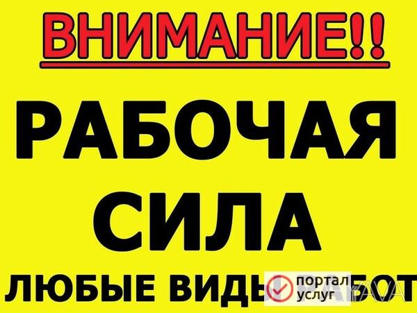 Фото Разнорабочие.