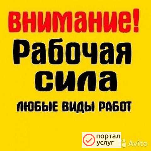 Фото Утилизация, вывоз мусора.