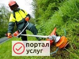 Фото Покос травы