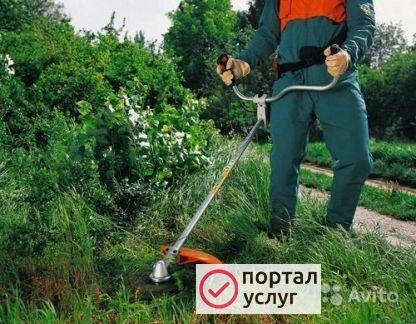 Фото Покос травы. Спил деревьев
