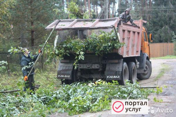Фото Расчистка участка