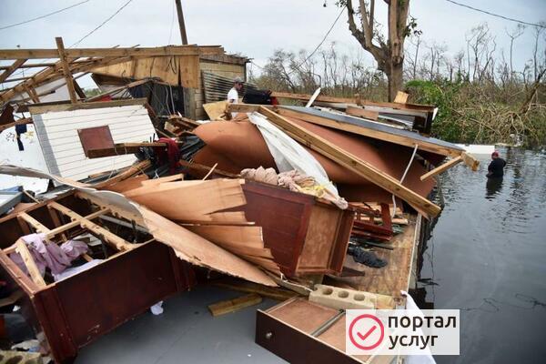 Фото Вывоз мусора