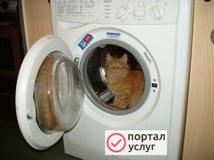 Фото Ремонт стиральных машин и холодильников