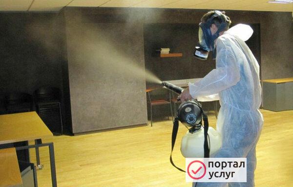 Фото Дезинсекция