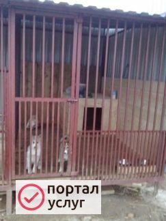 Фото Сварочные работы