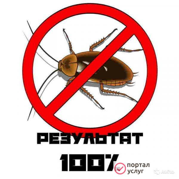 Фото Дезинфекция