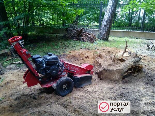 Фото Дробление пней 