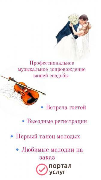 Фото Скрипка на свадьбу, праздники 