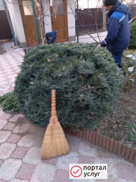 Фото Услуги садовника