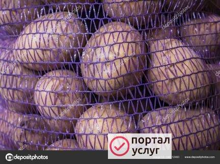 Фото Картофель