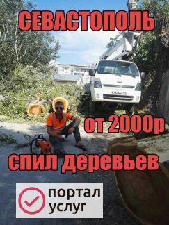 Фото Спил обрезка деревьев