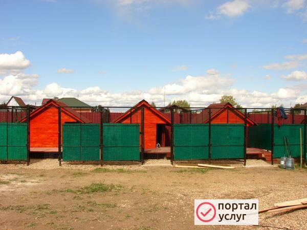 Фото Передержка собак