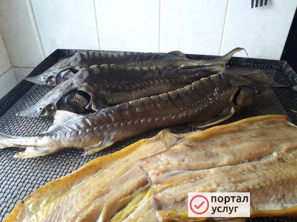 Фото Осетр живой 1,5-3 кг