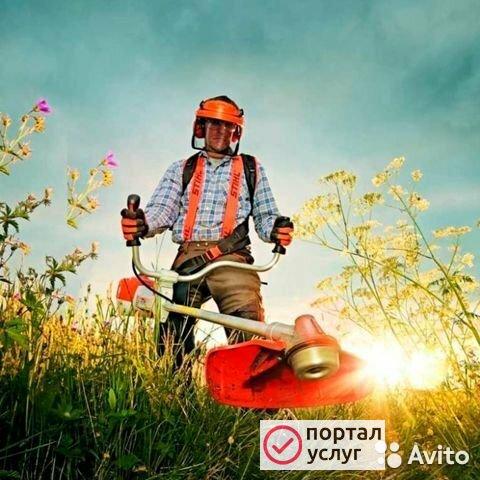 Фото Покос травы триммером, газонокосилкой, трактором