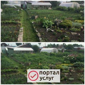 Фото Покос травы Миасс