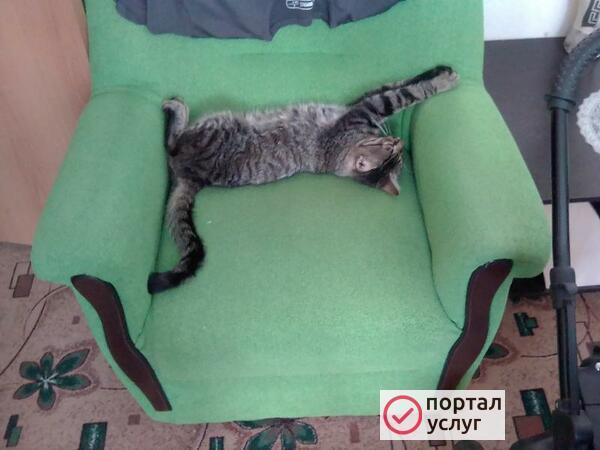 Фото Ванная под ключ
