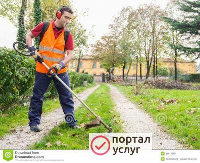 Фото Покос травы