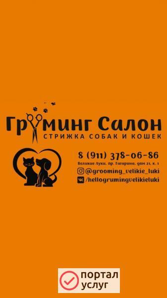 Фото Груминг Салон, стрижка собак, кошек