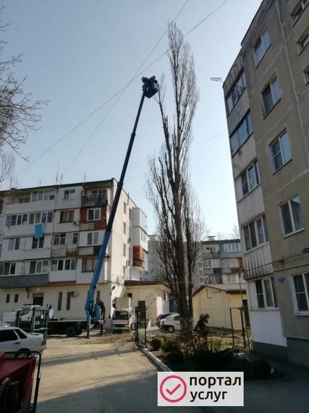 Фото Спил деревьев измельчитель веток 