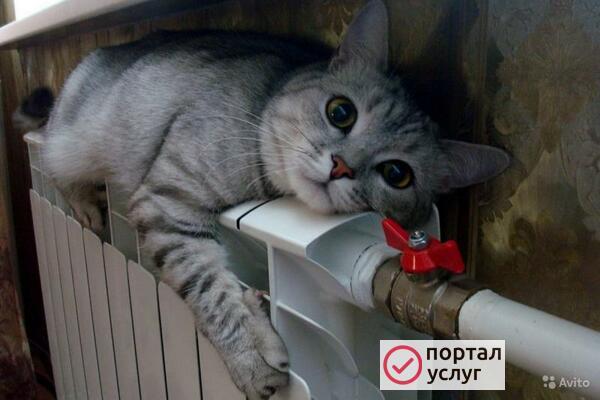 Фото Отопление,замена радиаторов