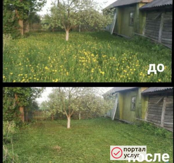 Фото Покос травы 