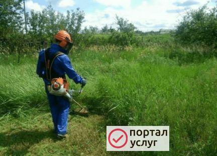 Фото Покос травы +