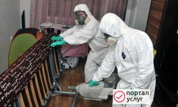 Фото Дезинфекция от насекомых и грызунов