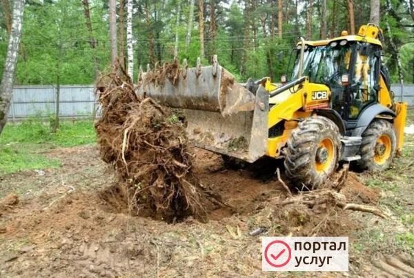 Фото расчистка участков