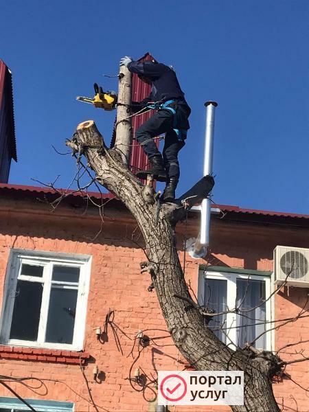 Фото Спил деревьев расчистка участков