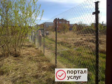 Фото Заборы из сетки Рабица