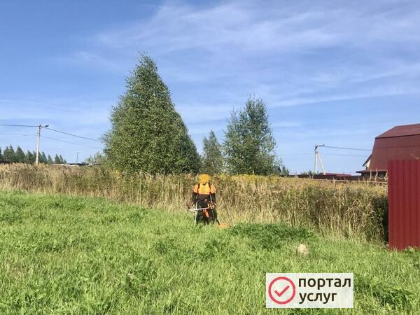 Фото Покос травы расчистка участка