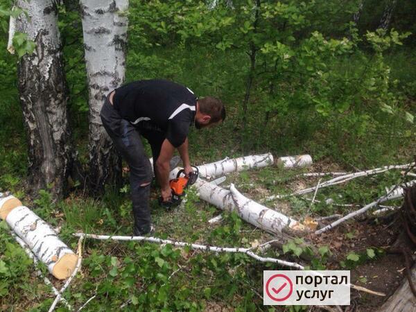 Фото Благоустройство.Спил деревьев