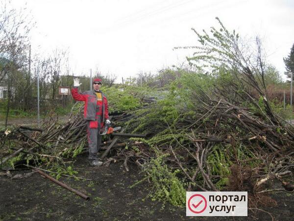 Фото Зачистка садовых участков