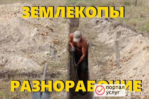 Фото Уборка дачных участков растирка газонов с опытом.