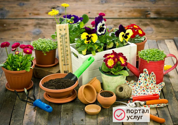 Фото помощь в саду