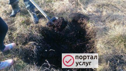 Фото Торф