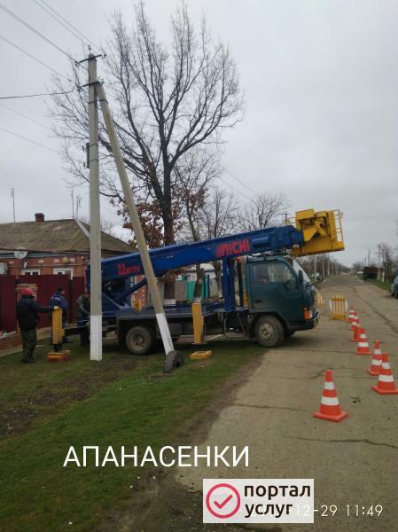 Фото Спил обрезка деревьев