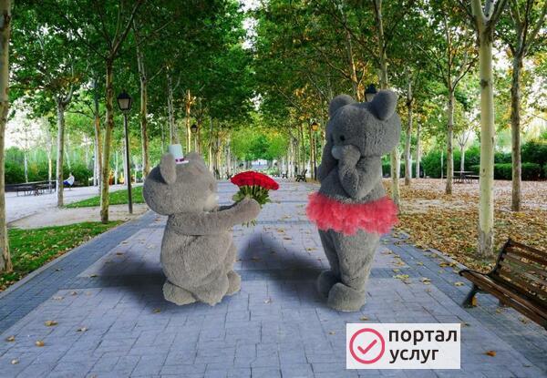Фото Мишка Тедди на свадьбу