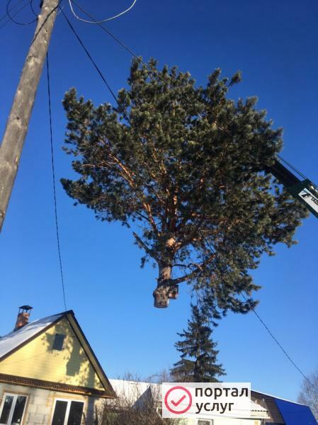 Фото Услуги спецтехники 