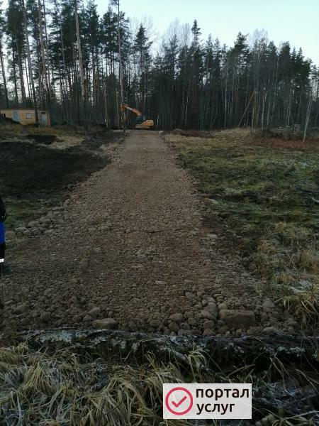 Фото Выпил деревьев на участке с раскорчёвкой
