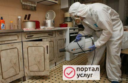 Фото Обработка от клопов