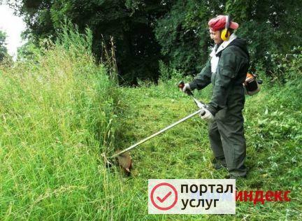 Фото Покос травы