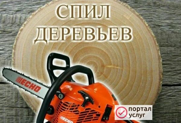 Фото Спил деревьев