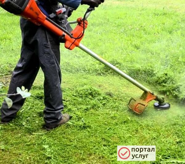 Фото Покос травы